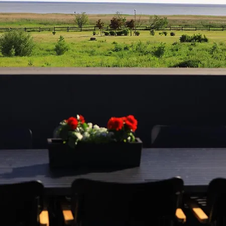 Tiiru Seaview With 50m2 Roof Terrace Daire *